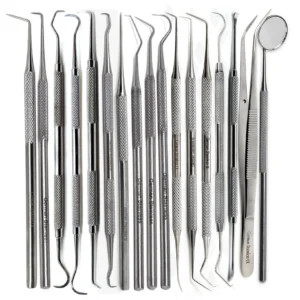 Complete 17-Piece Professional Dental Hygiene Kit – Premium Stainless Steel Scrapers, Scalers, Picks, Mouth Mirror & Tweezers for Expert and Home Use
