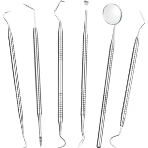 HWZWT Toothpick Teeth Cleaning Tool – Durable Dental Tool with Storage Box for Effective Oral Hygiene and Plaque Removal