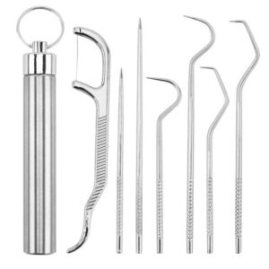 7-Piece Stainless Steel Toothpick Kit – Dental Tools Set for Tooth Stain Removal, Dental Floss Picks & Teeth Cleaning