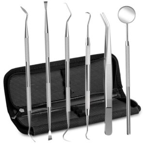 LNGOOR Professional 6-Piece Dental Tool Kit – Premium Oral Care Set Including Tooth Pick, Dental Mirror, Tartar Scraper, Probe, Scaler & Tweezers